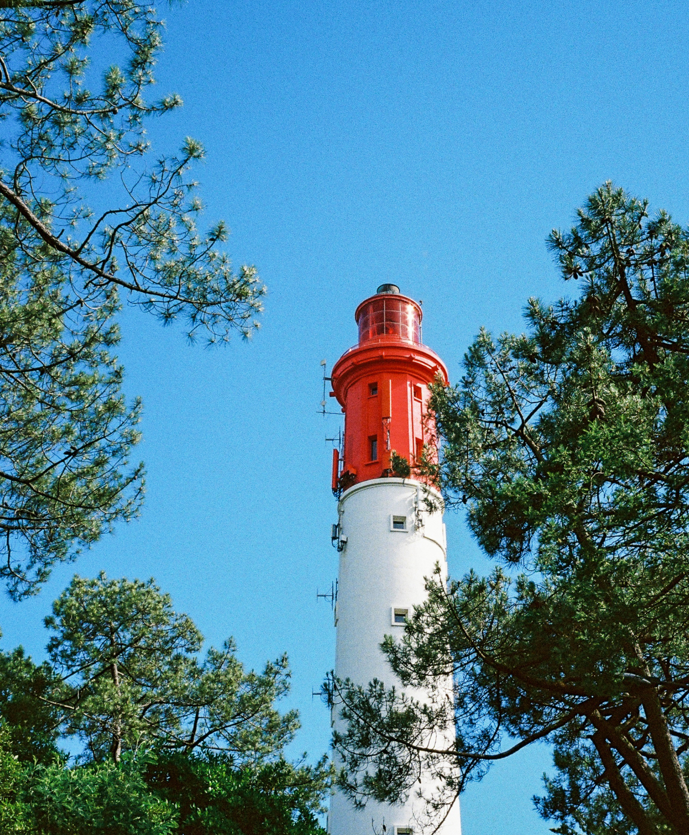 Iconic House - image