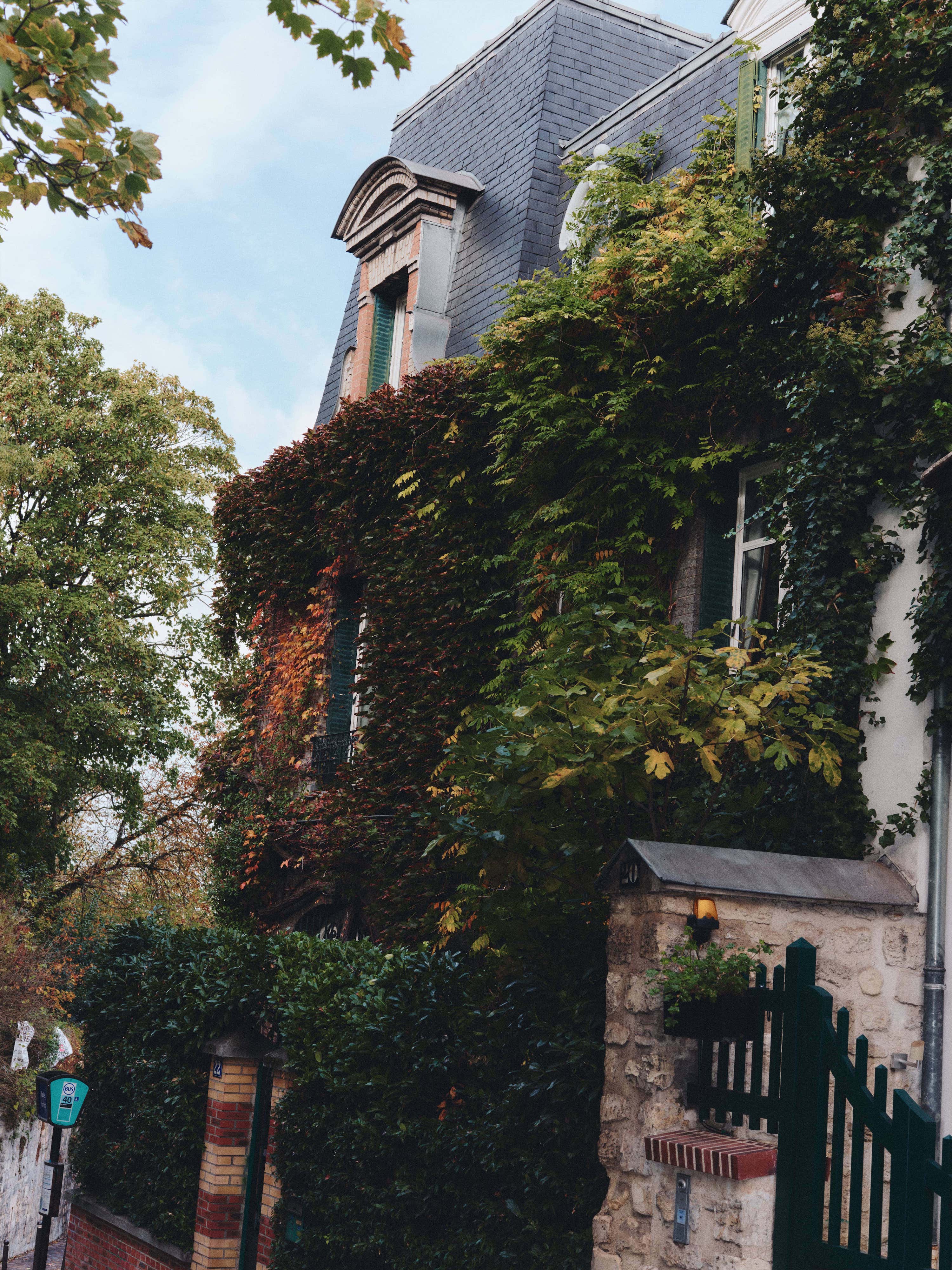 Iconic House - image