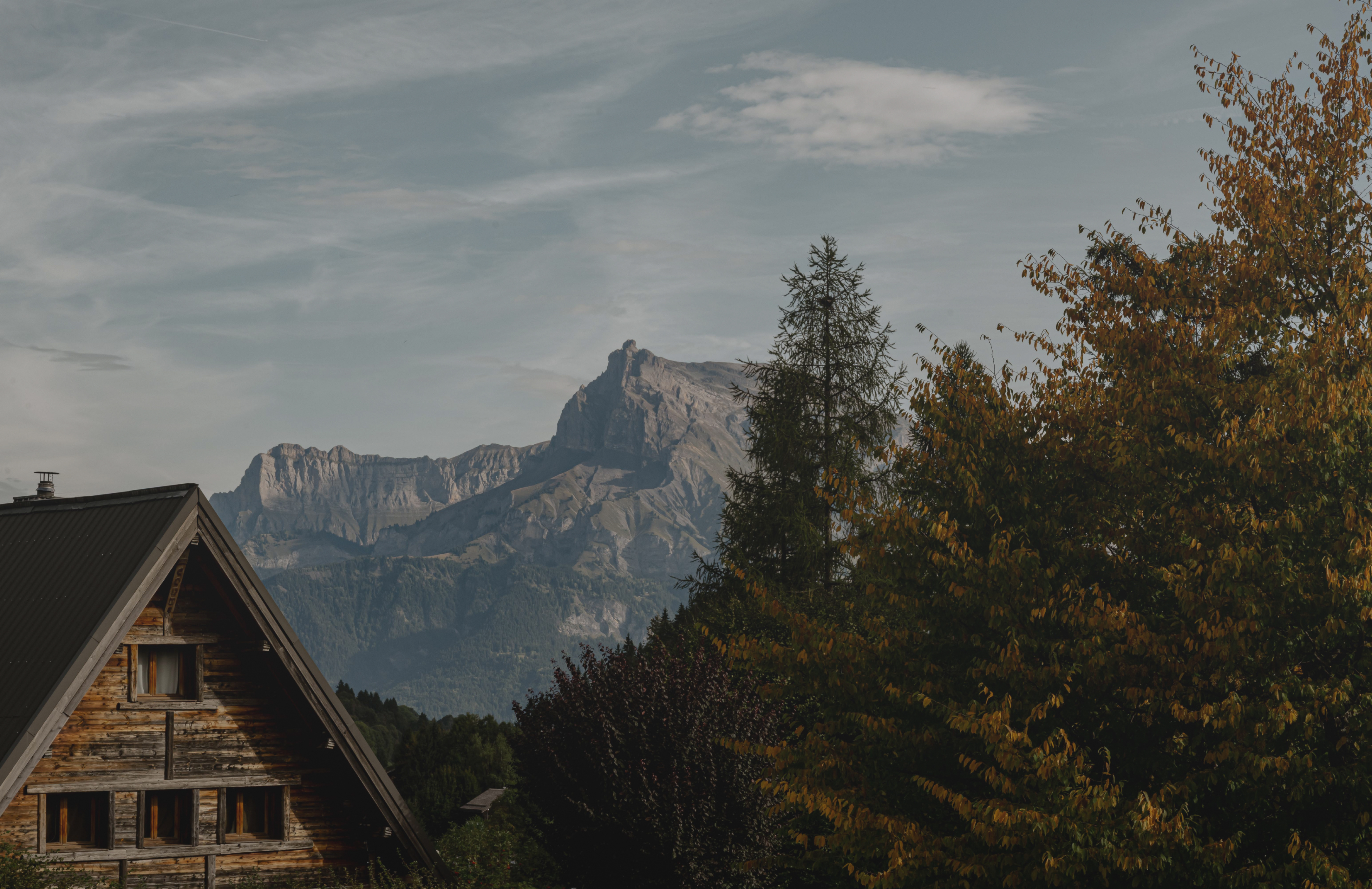 Iconic House - image