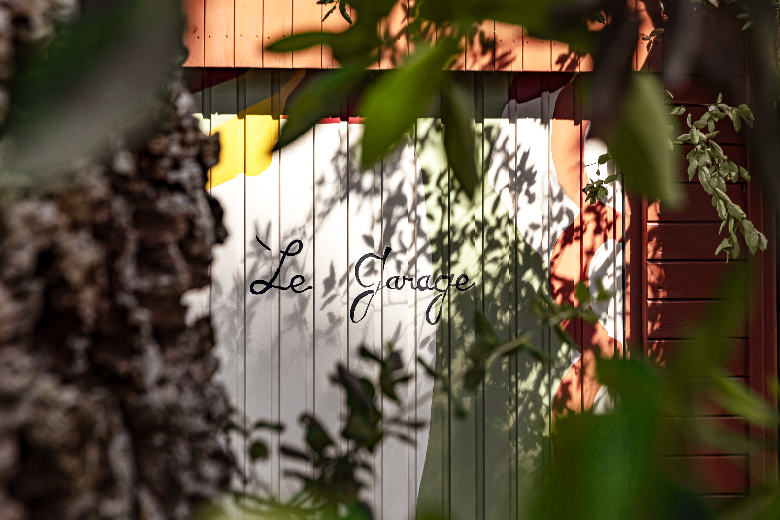 Jardin arboré