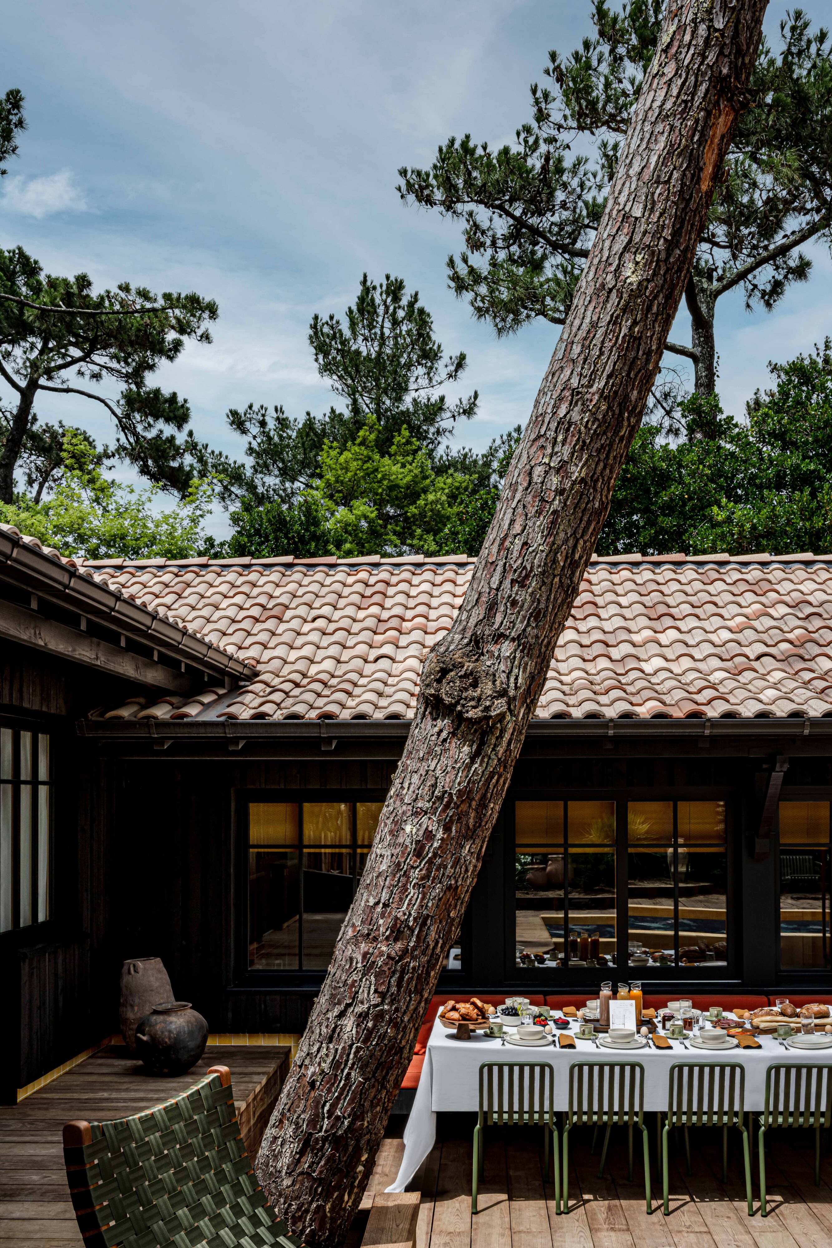 Terrace