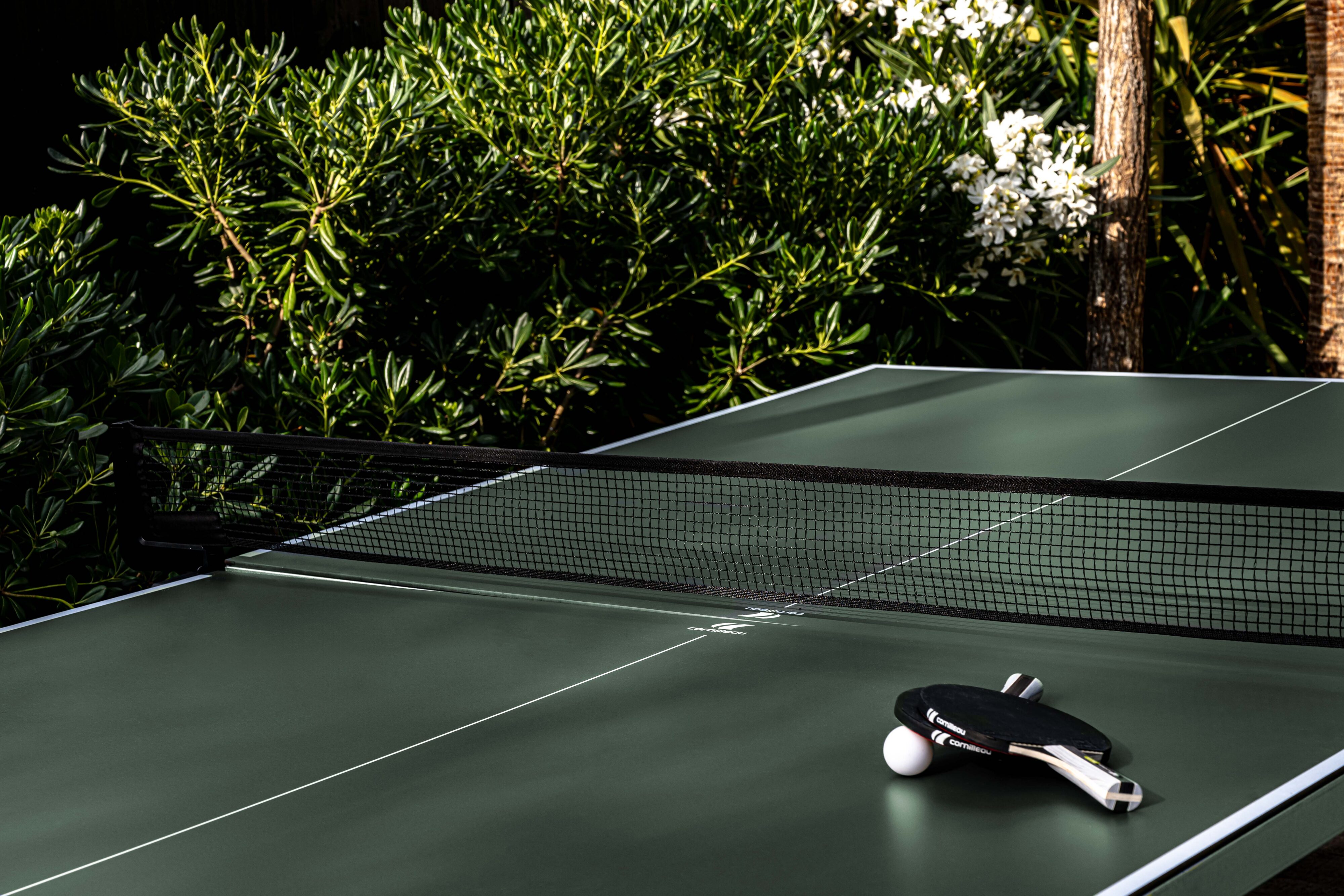 Ping-pong table