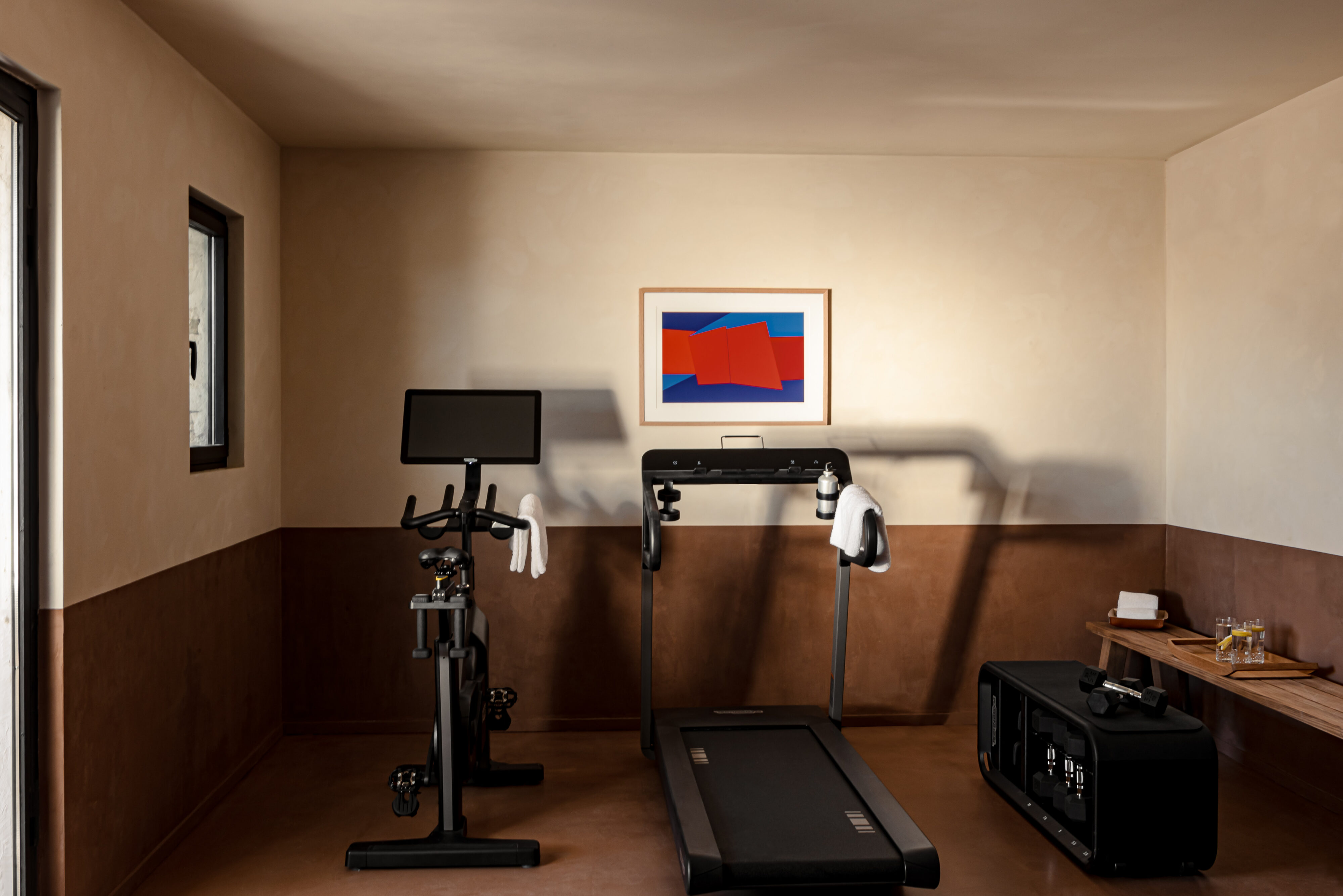 Technogym fitness room
