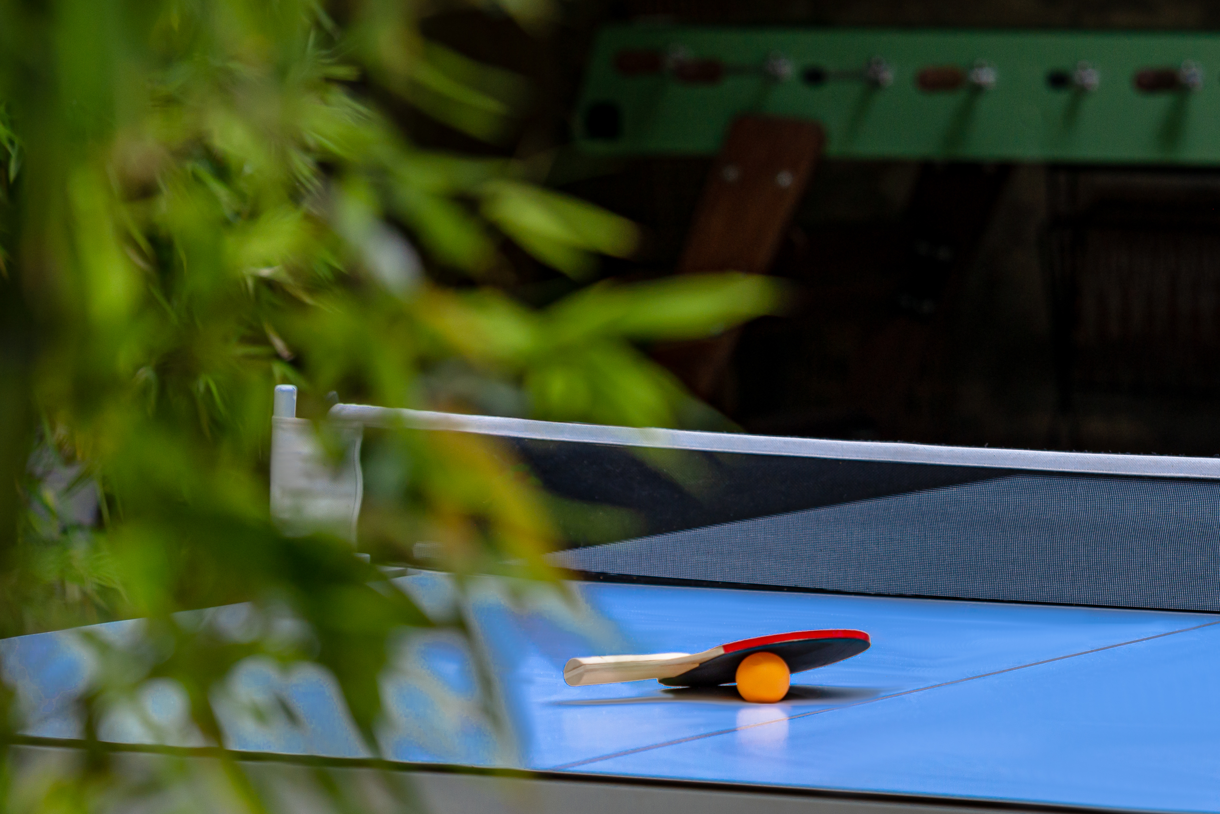 Ping-pong